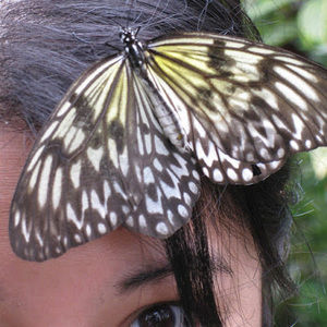 Meet your Posher, Beverly